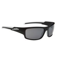 Alpina Okulary przeciwsłoneczne Testido S3 (czarny / biały)